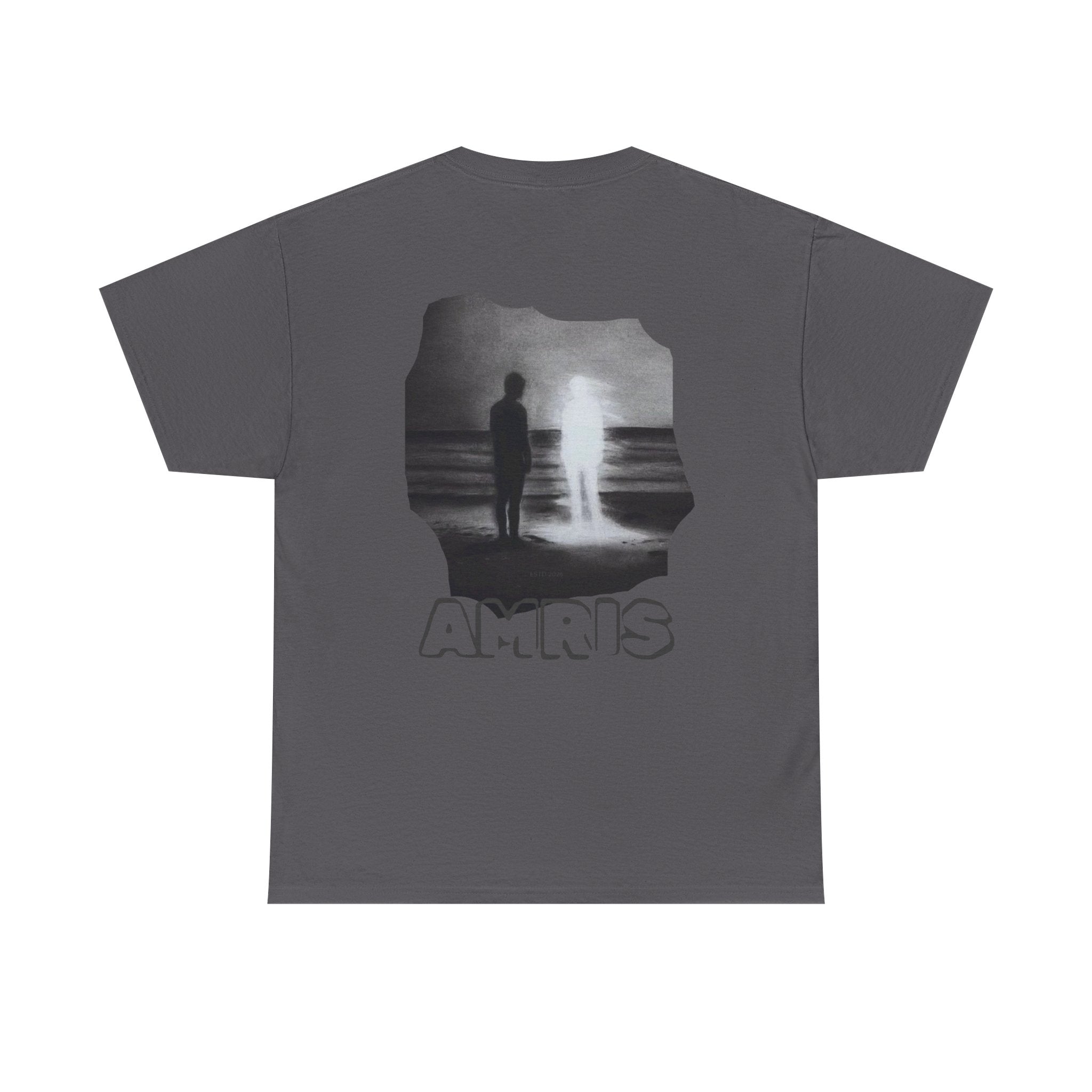 No Risk No Story Tee — Graphic Motivational Cotton T-Shirt